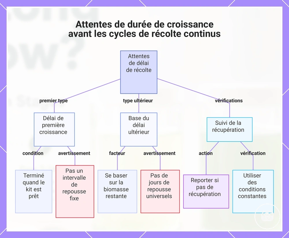 Attentes de durée de croissance avant les cycles de récolte continus