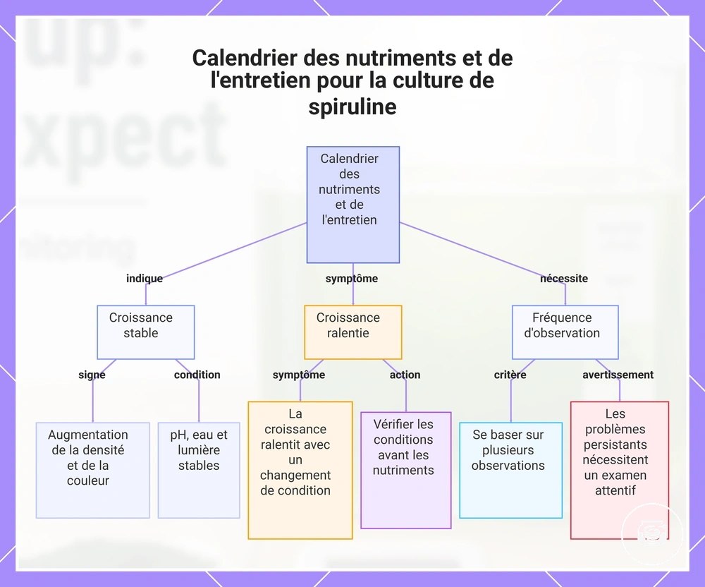 Calendrier des nutriments et de l'entretien pour la culture de spiruline