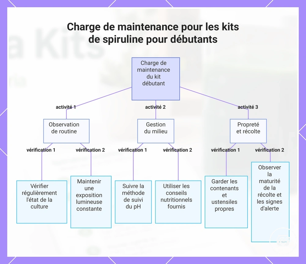 Charge de maintenance pour les kits de spiruline pour débutants