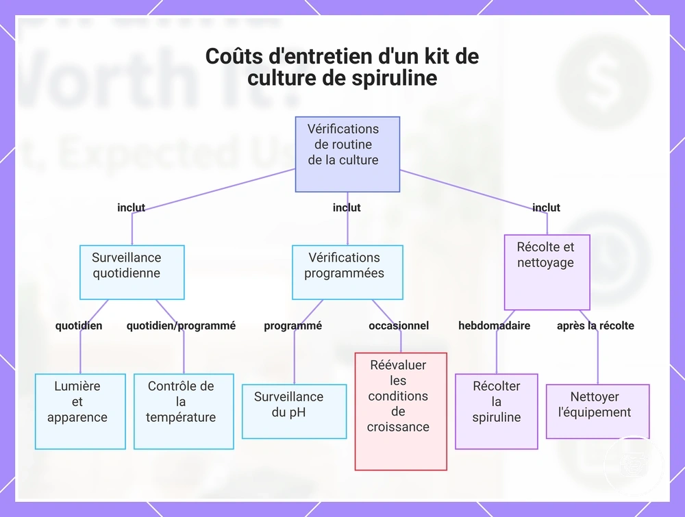Coûts d'entretien d'un kit de culture de spiruline