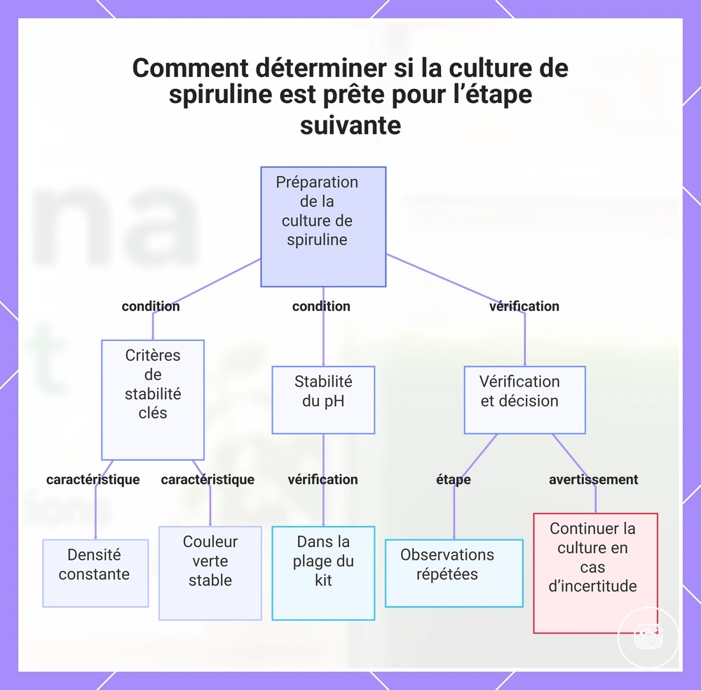Comment déterminer si la culture de spiruline est prête pour l’étape suivante