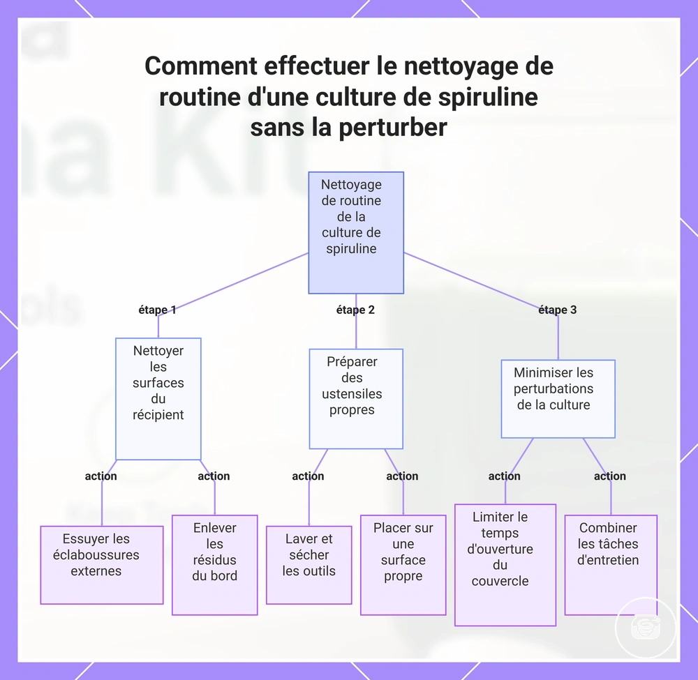 Comment effectuer le nettoyage de routine d'une culture de spiruline sans la perturber