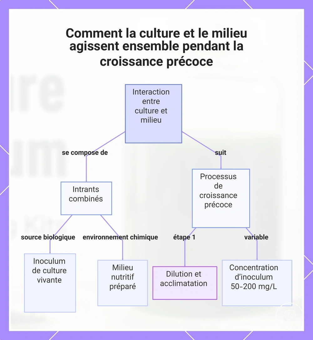 Comment la culture et le milieu agissent ensemble pendant la croissance précoce
