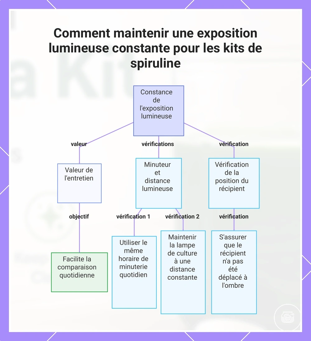 Comment maintenir une exposition lumineuse constante pour les kits de spiruline