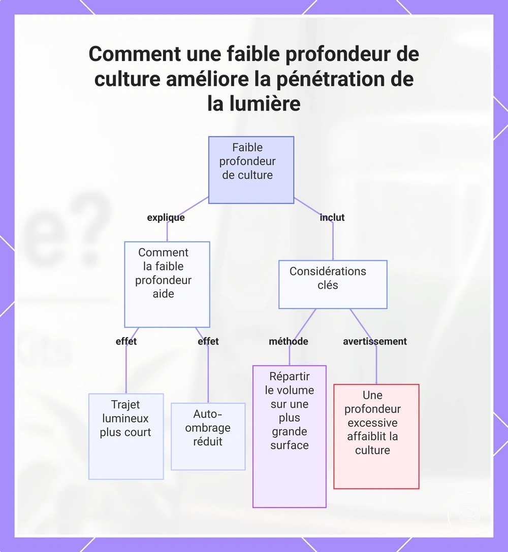 Comment une faible profondeur de culture améliore la pénétration de la lumière