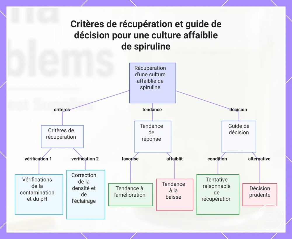 Critères de récupération et guide de décision pour une culture affaiblie de spiruline