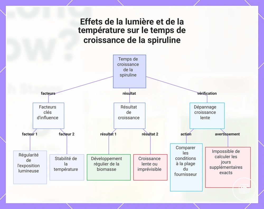 Effets de la lumière et de la température sur le temps de croissance de la spiruline