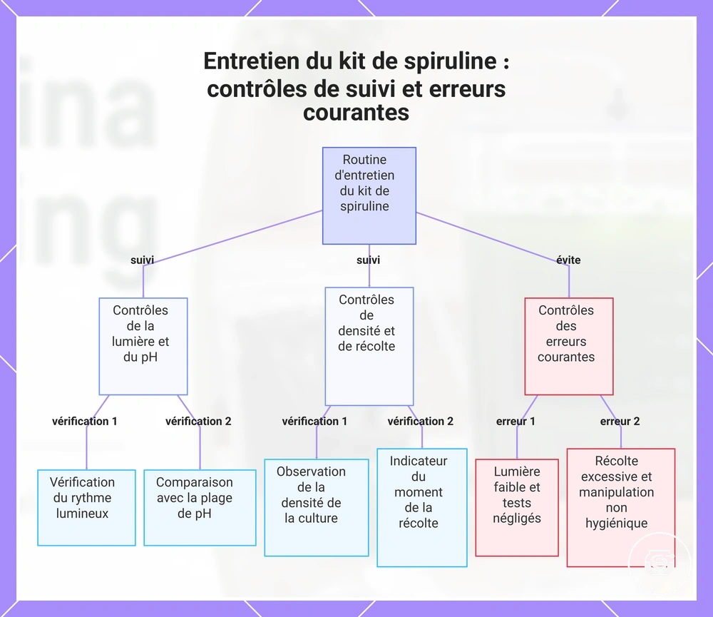 Entretien du kit de spiruline : contrôles de suivi et erreurs courantes