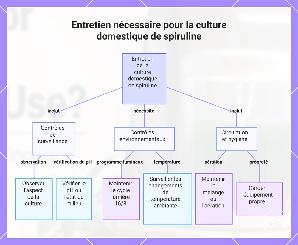 Entretien nécessaire pour la culture domestique de spiruline