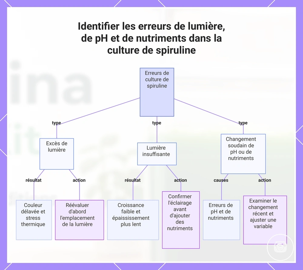 Identifier les erreurs de lumière, de pH et de nutriments dans la culture de spiruline