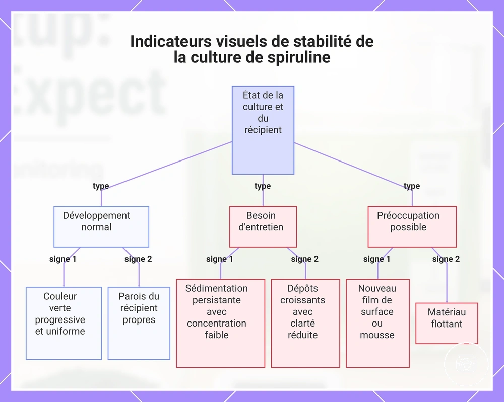 Indicateurs visuels de stabilité de la culture de spiruline