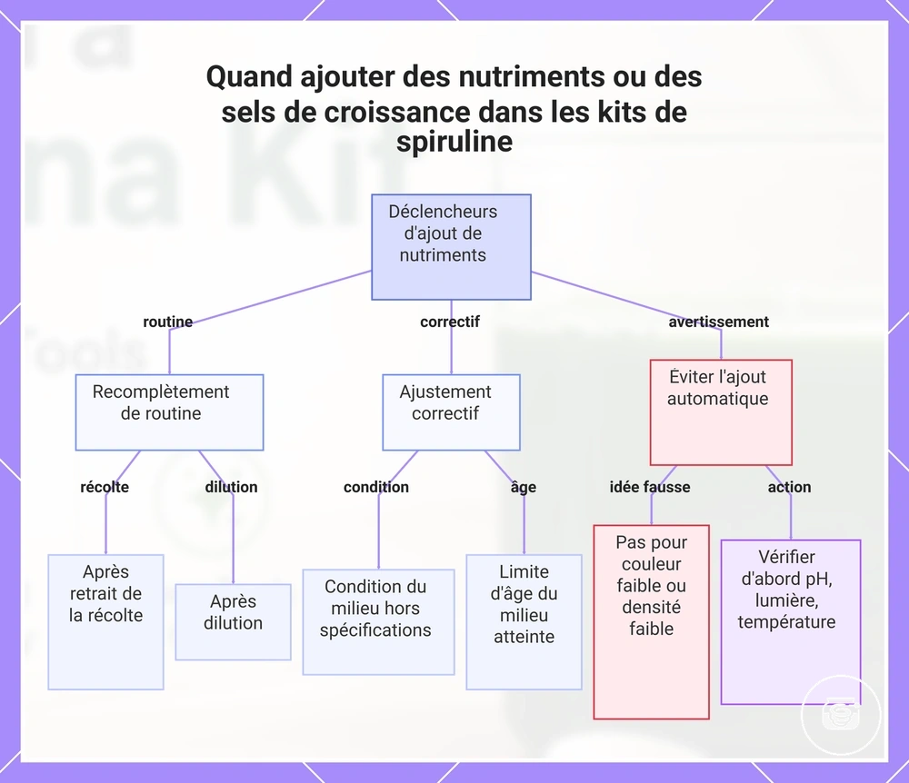 Quand ajouter des nutriments ou des sels de croissance dans les kits de spiruline