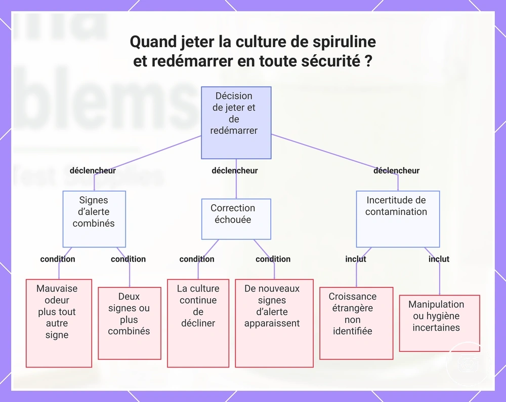 Quand jeter la culture de spiruline et redémarrer en toute sécurité ?