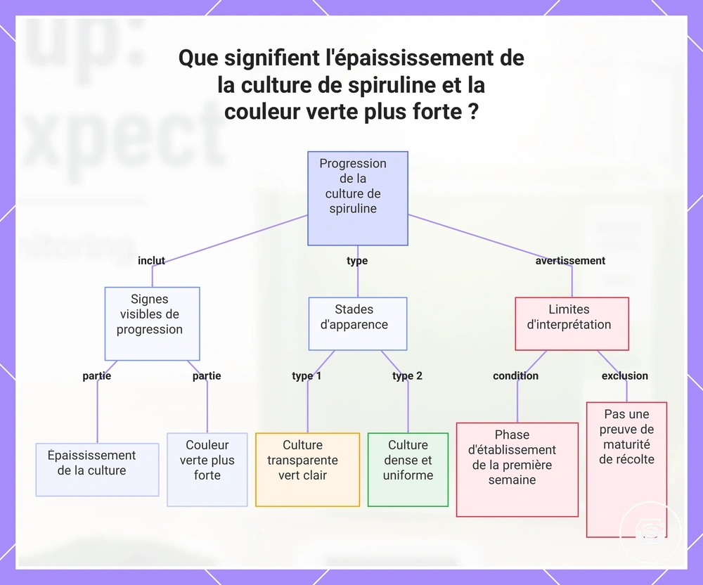 Que signifient l'épaississement de la culture de spiruline et la couleur verte plus forte ?