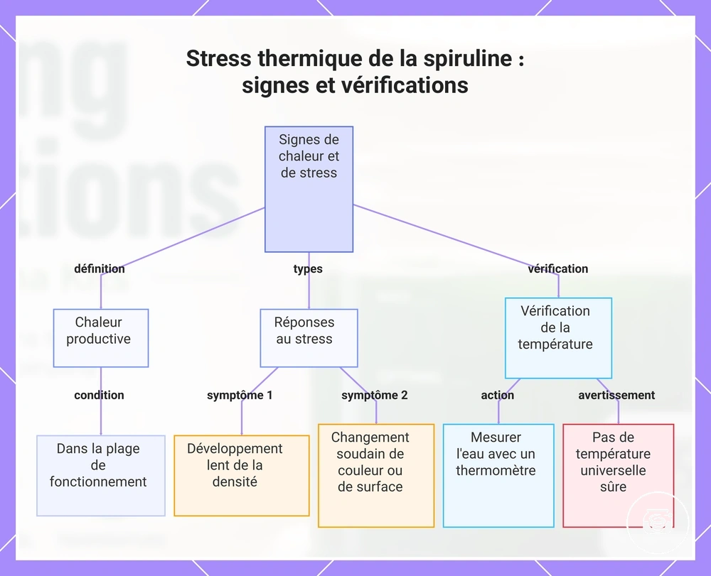Stress thermique de la spiruline : signes et vérifications