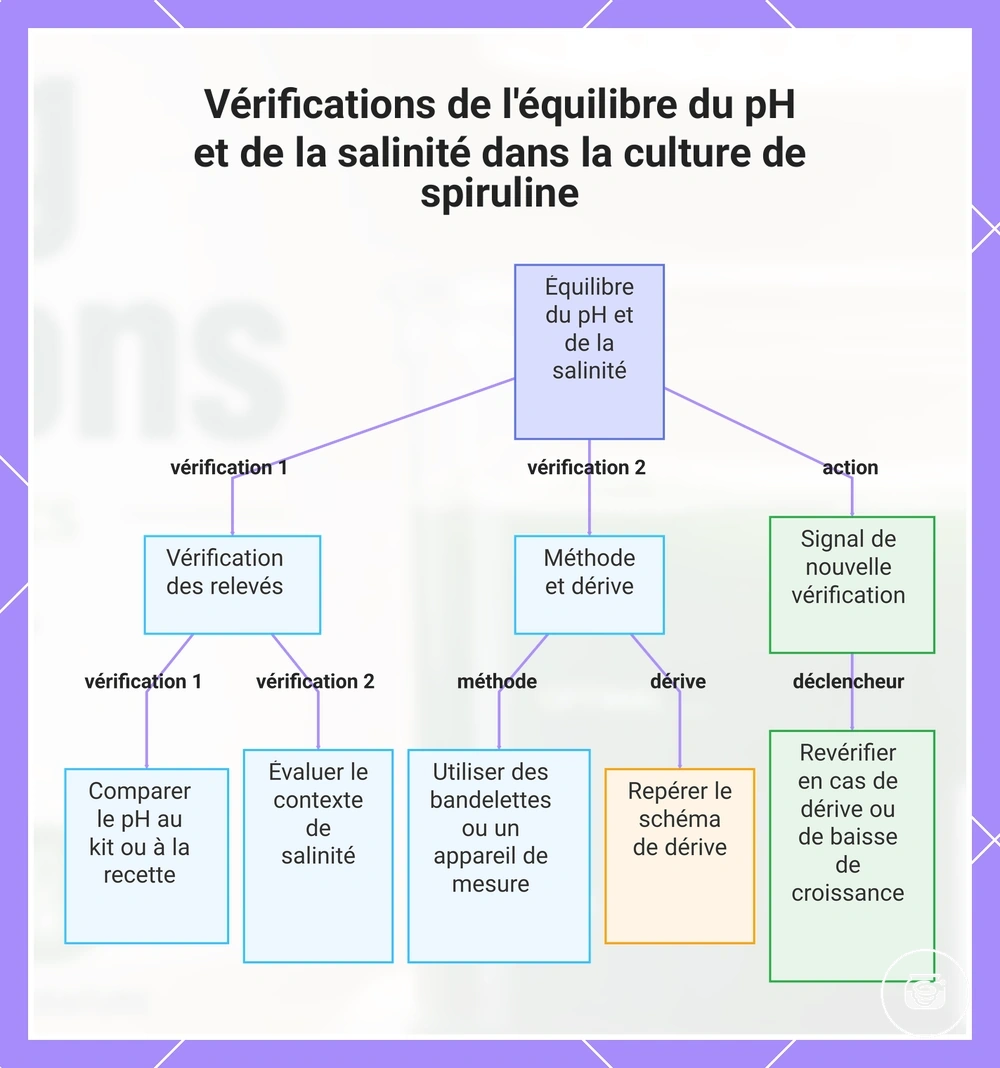 Vérifications de l'équilibre du pH et de la salinité dans la culture de spiruline