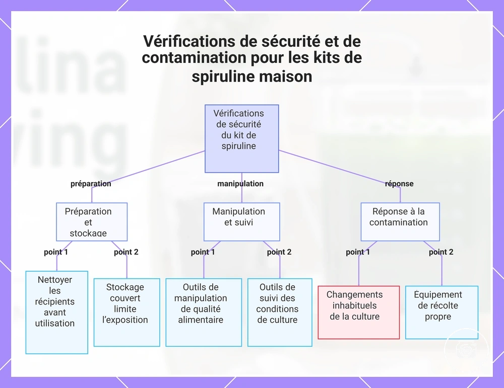 Vérifications de sécurité et de contamination pour les kits de spiruline maison