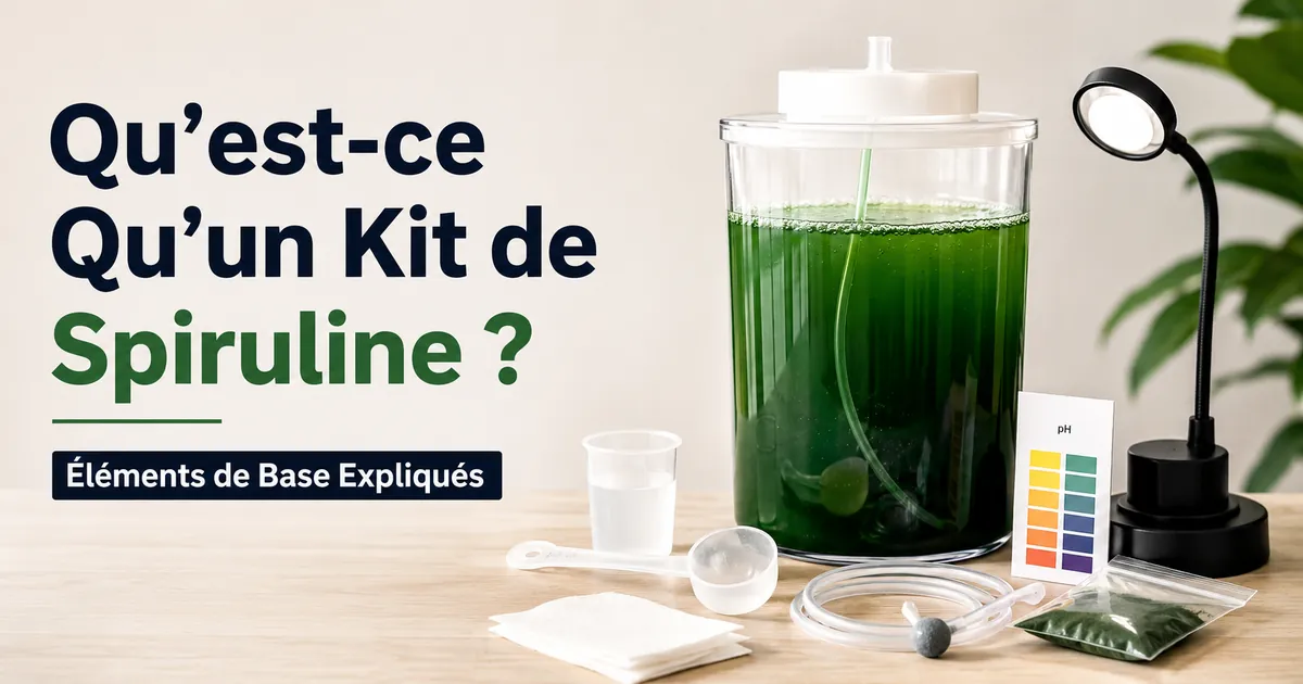 Éléments de base d’un kit de culture de spiruline disposés près d’un récipient transparent