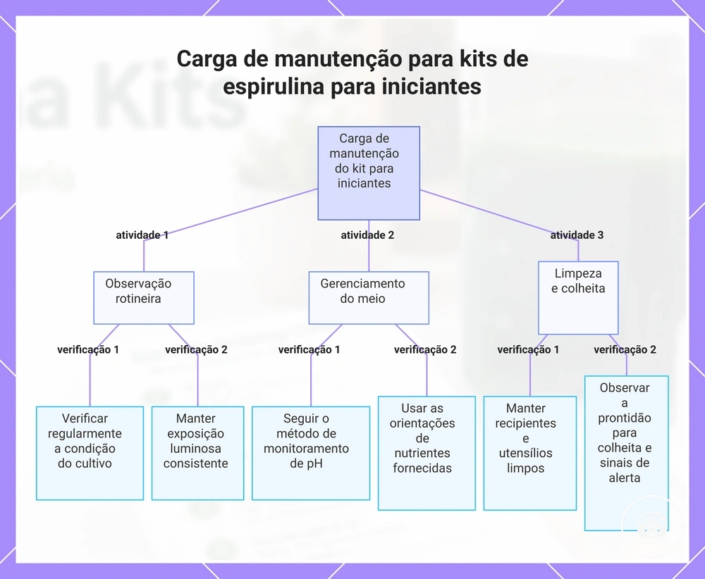 Carga de manutenção para kits de espirulina para iniciantes