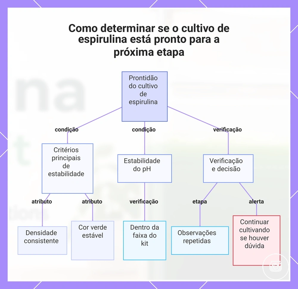 Como determinar se o cultivo de espirulina está pronto para a próxima etapa