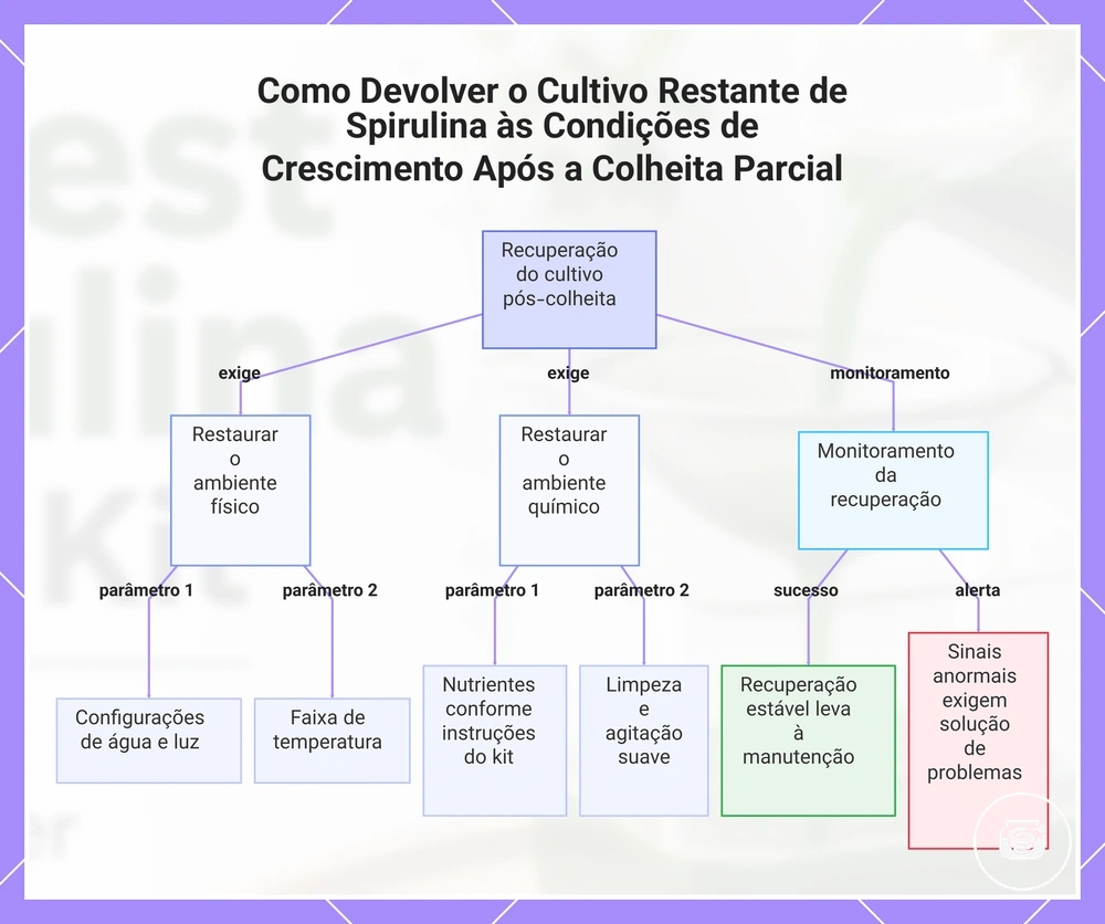 Como Devolver o Cultivo Restante de Spirulina às Condições de Crescimento Após a Colheita Parcial