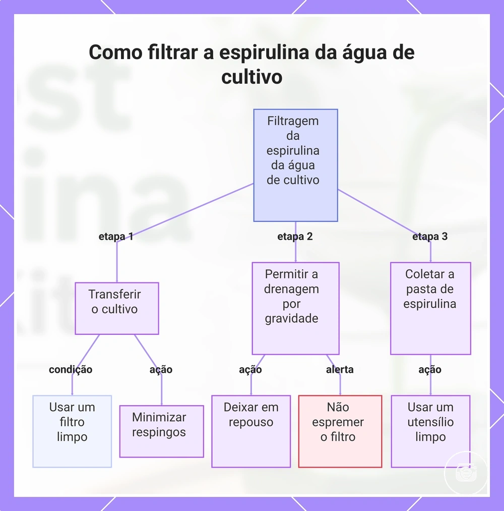 Como filtrar a espirulina da água de cultivo