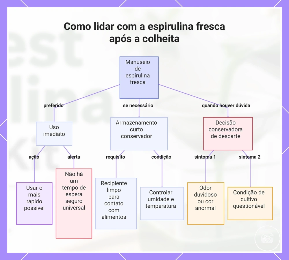 Como lidar com a espirulina fresca após a colheita