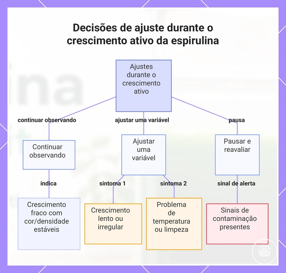 Decisões de ajuste durante o crescimento ativo da espirulina