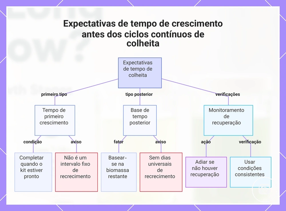 Expectativas de tempo de crescimento antes dos ciclos contínuos de colheita