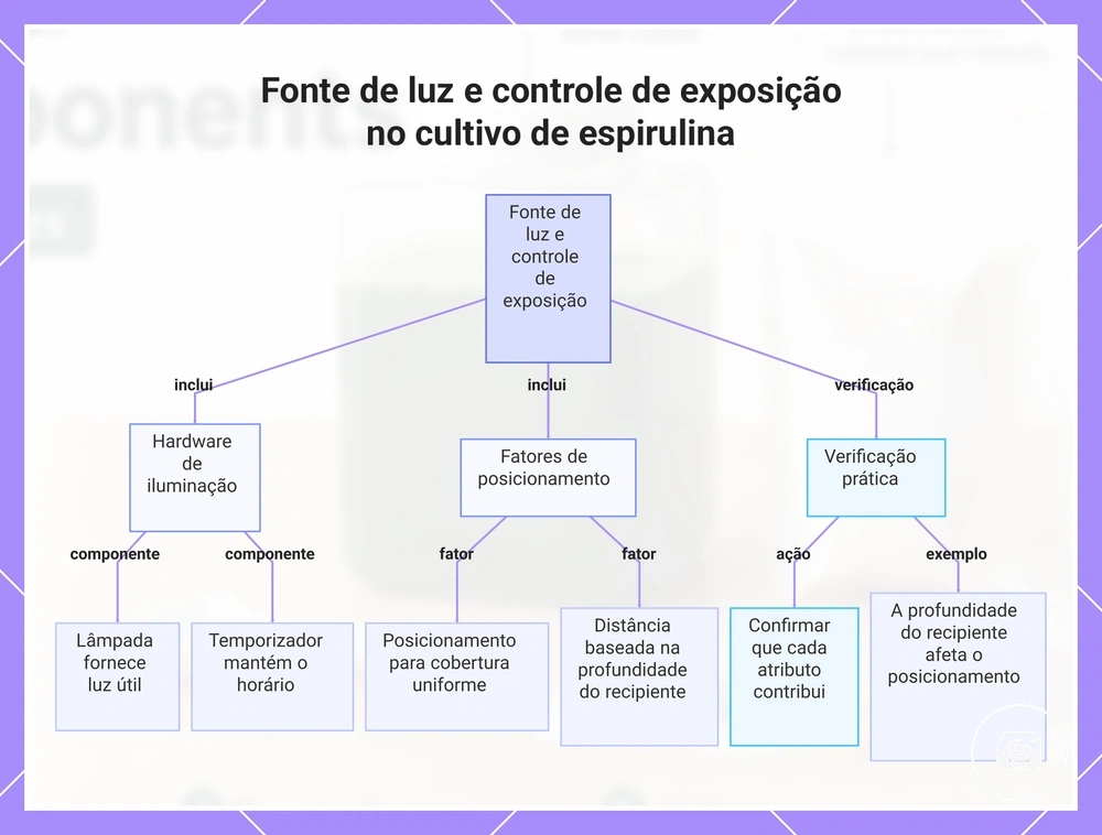 Fonte de luz e controle de exposição no cultivo de espirulina