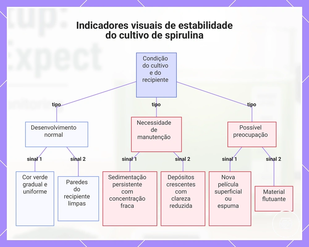 Indicadores visuais de estabilidade do cultivo de spirulina