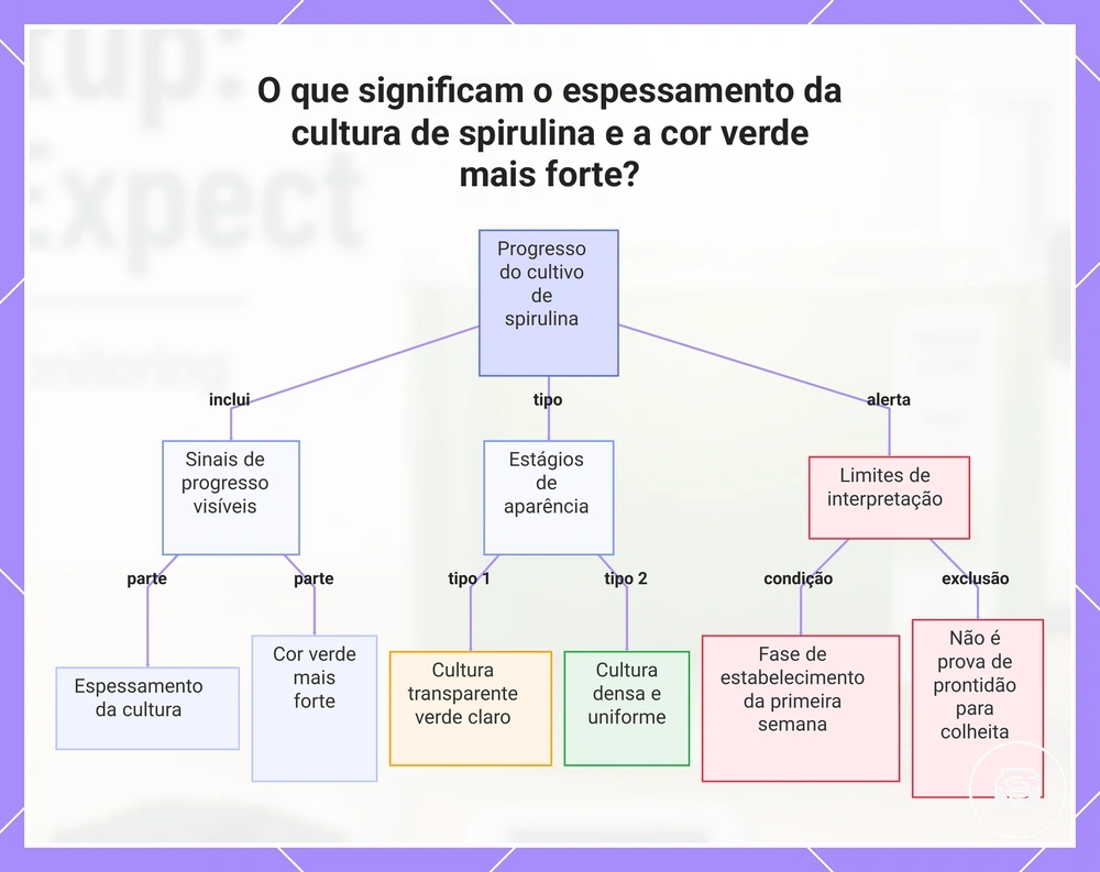 O que significam o espessamento da cultura de spirulina e a cor verde mais forte?