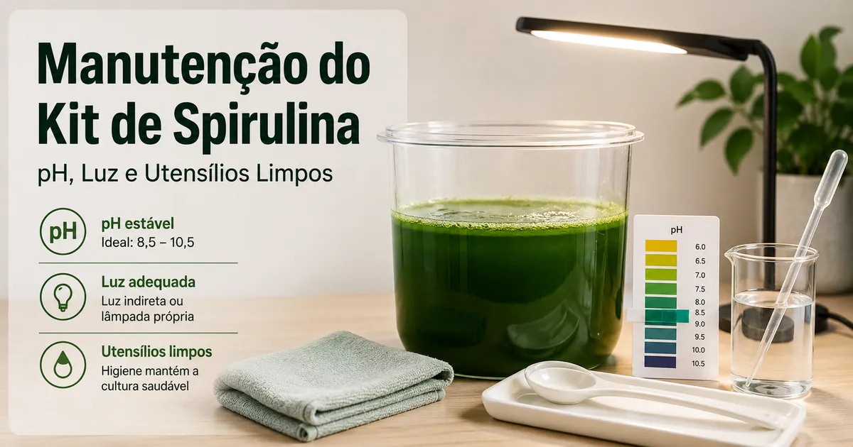 Manutenção de um kit de cultivo de spirulina com teste de pH, controle de luz e utensílios limpos