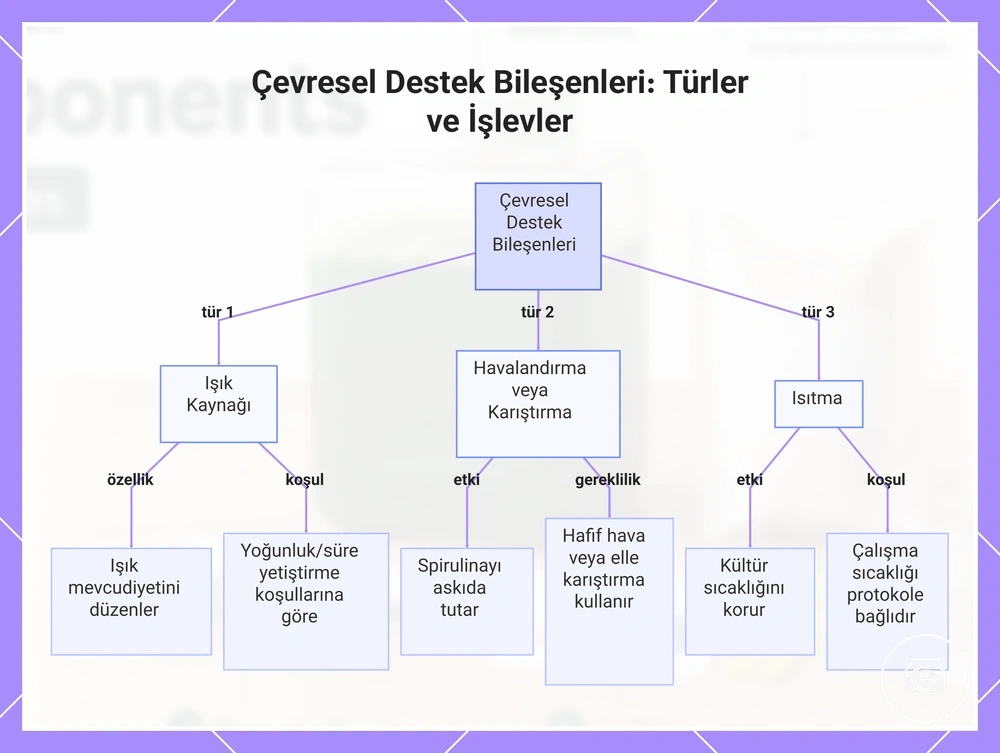 Çevresel Destek Bileşenleri: Türler ve İşlevler