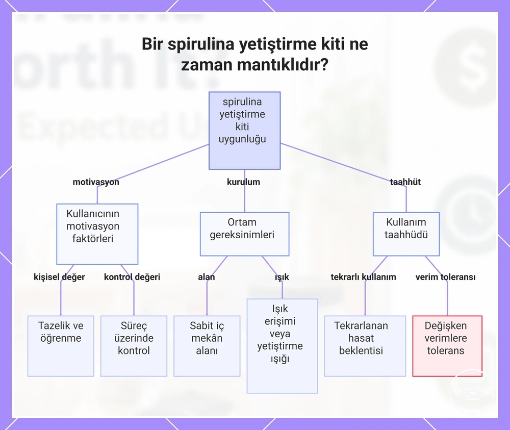 Bir spirulina yetiştirme kiti ne zaman mantıklıdır?