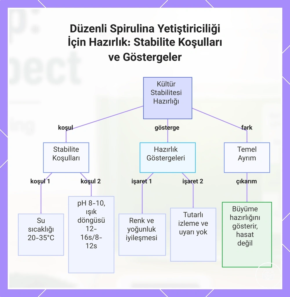 Düzenli Spirulina Yetiştiriciliği İçin Hazırlık: Stabilite Koşulları ve Göstergeler