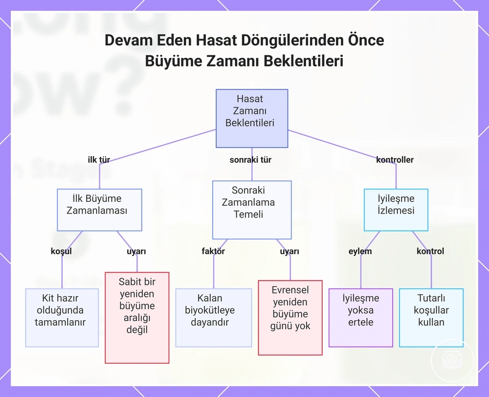 Devam Eden Hasat Döngülerinden Önce Büyüme Zamanı Beklentileri