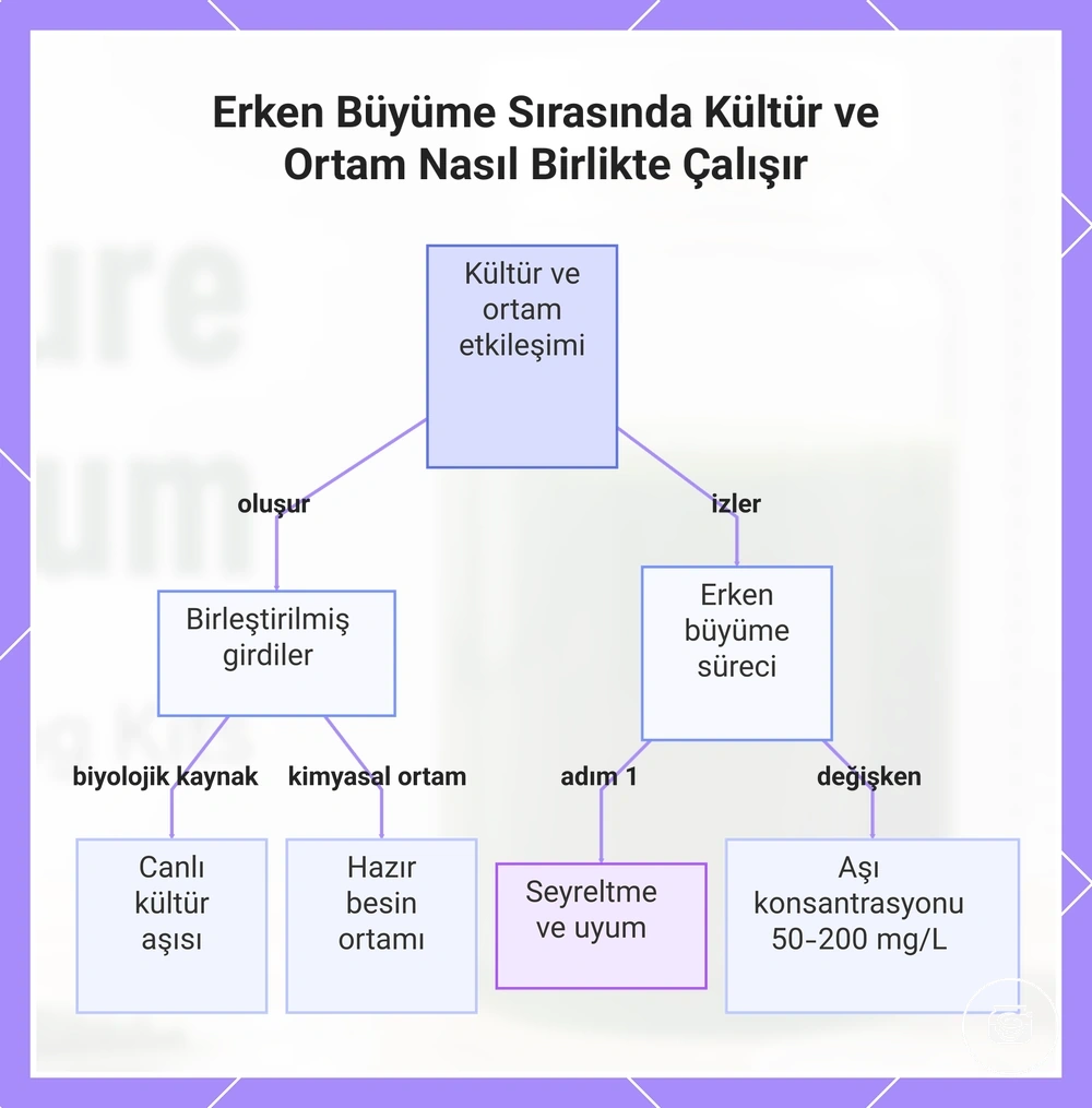 Erken Büyüme Sırasında Kültür ve Ortam Nasıl Birlikte Çalışır