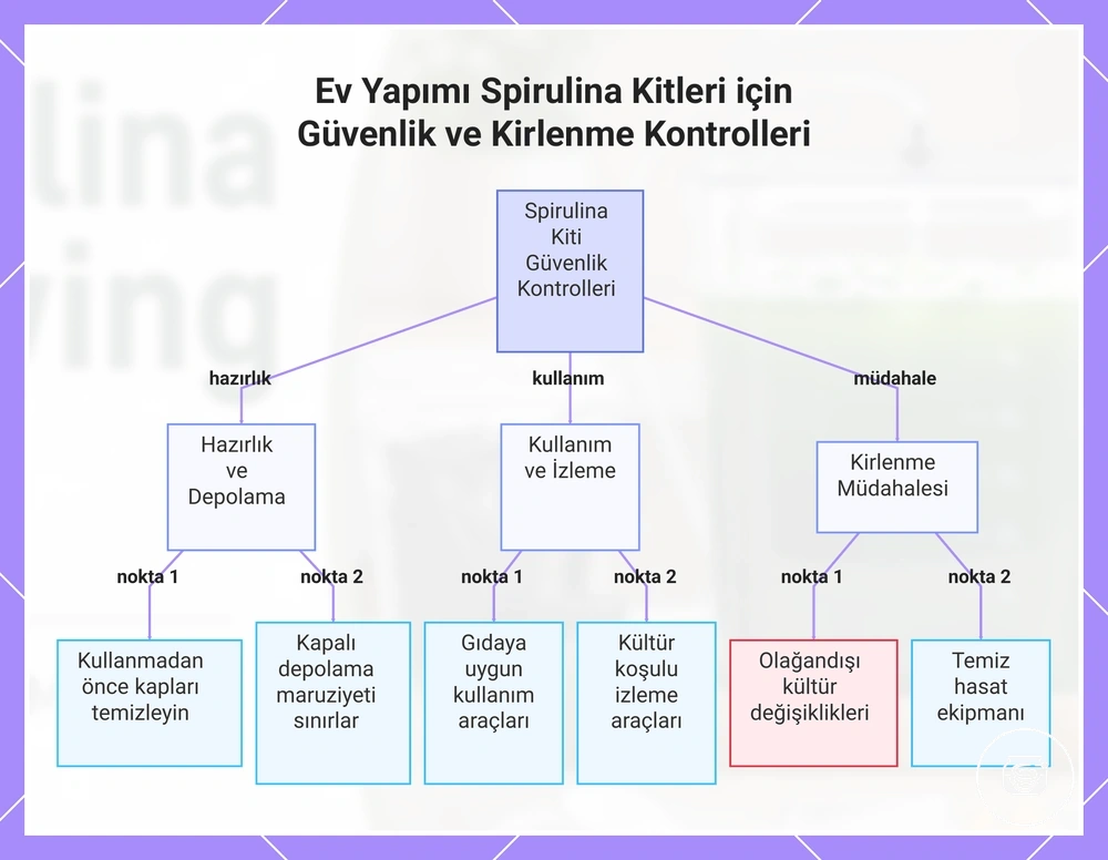 Ev Yapımı Spirulina Kitleri için Güvenlik ve Kirlenme Kontrolleri