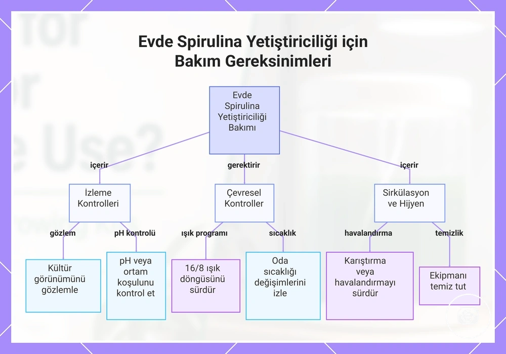 Evde Spirulina Yetiştiriciliği için Bakım Gereksinimleri