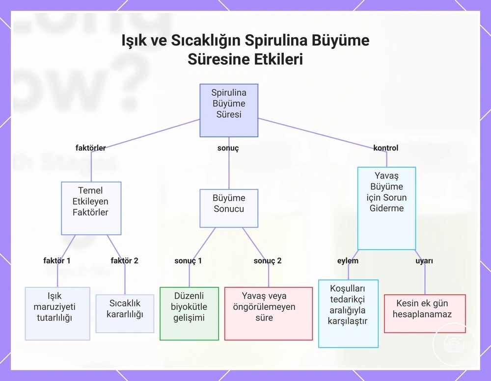 Işık ve Sıcaklığın Spirulina Büyüme Süresine Etkileri