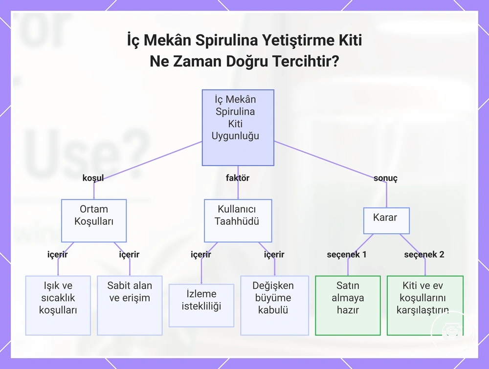 İç Mekân Spirulina Yetiştirme Kiti Ne Zaman Doğru Tercihtir?