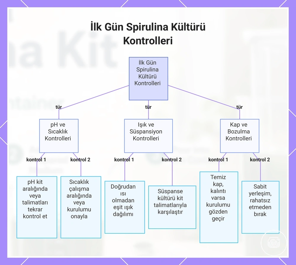 İlk Gün Spirulina Kültürü Kontrolleri