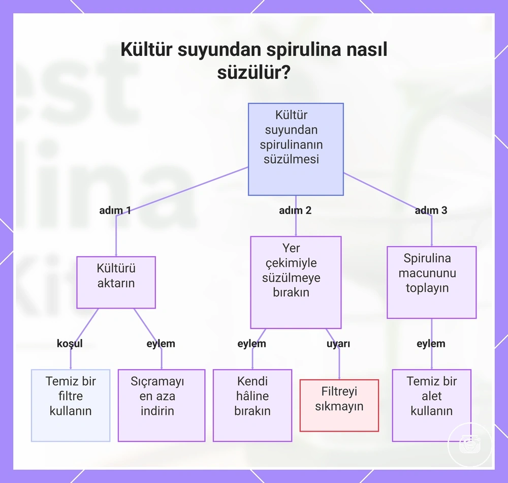 Kültür suyundan spirulina nasıl süzülür?