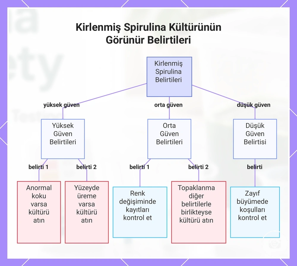Kirlenmiş Spirulina Kültürünün Görünür Belirtileri