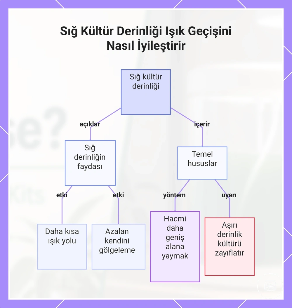 Sığ Kültür Derinliği Işık Geçişini Nasıl İyileştirir