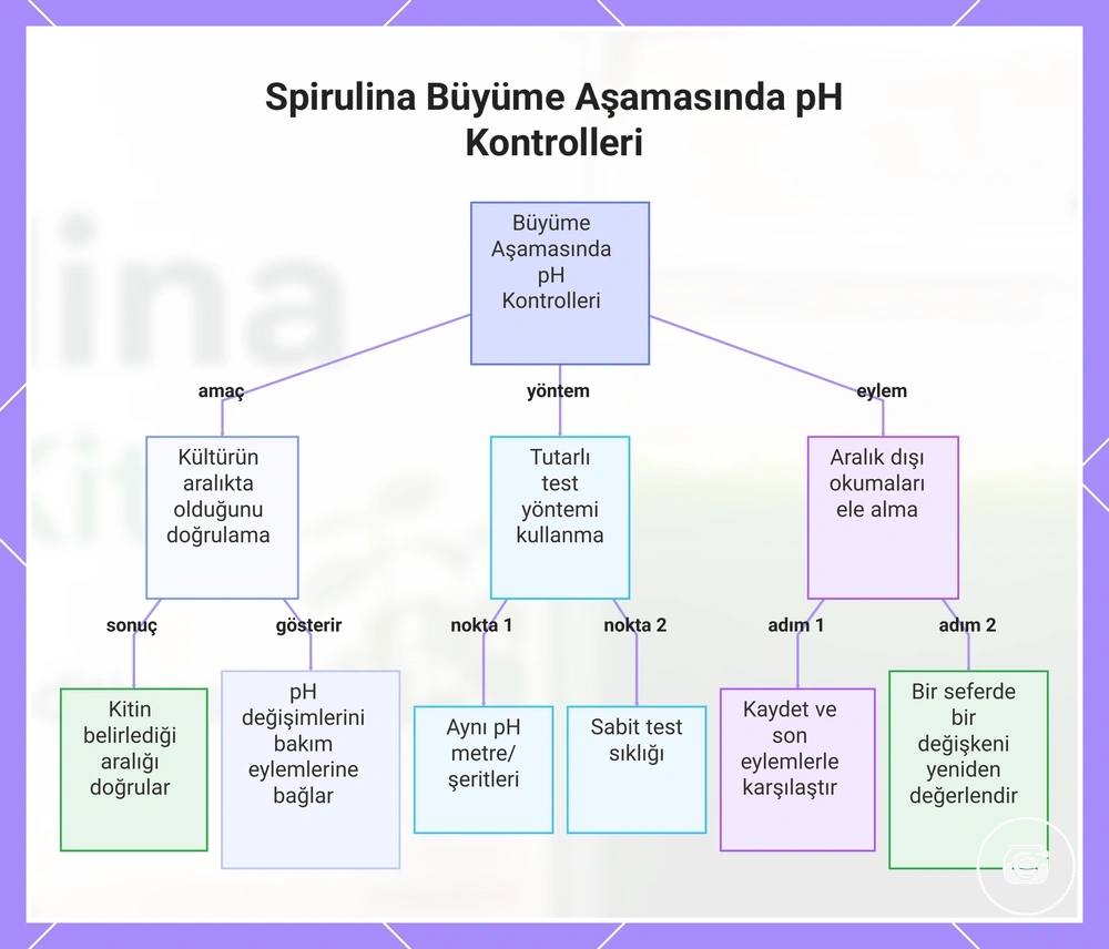 Spirulina Büyüme Aşamasında pH Kontrolleri