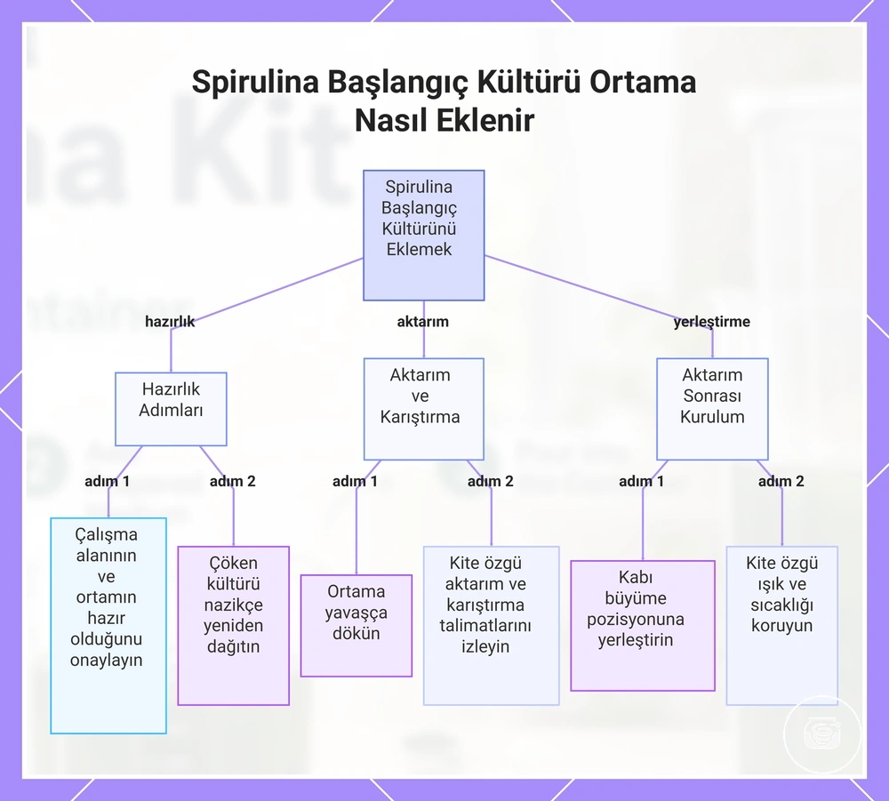 Spirulina Başlangıç Kültürü Ortama Nasıl Eklenir