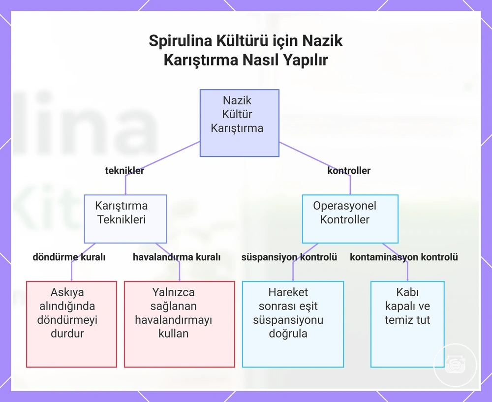 Spirulina Kültürü için Nazik Karıştırma Nasıl Yapılır