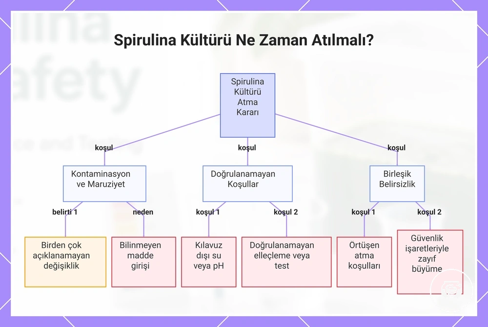Spirulina Kültürü Ne Zaman Atılmalı?